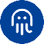 Omnity Convertible Token