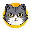CATCOIN icon