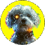 MIA icon