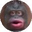 Monkecoin icon