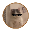 Michi icon