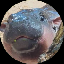 Moo Deng (MooDengBase)