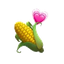 CORN icon
