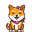 Kabosu icon