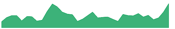 VISASTEEL 1y chart