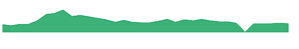 SMLR 1y chart
