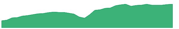 SRLN 1y chart